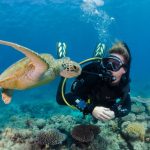 Great reef barrier scuba doo australia cairns under water outer adventures booking life interested advise option pre please re if
