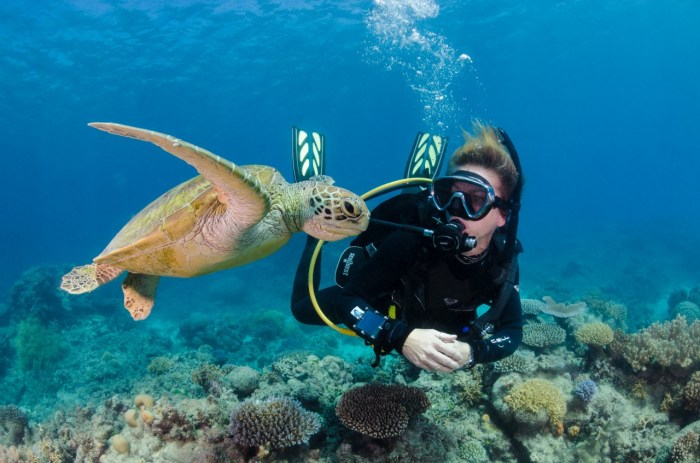 Great reef barrier scuba doo australia cairns under water outer adventures booking life interested advise option pre please re if
