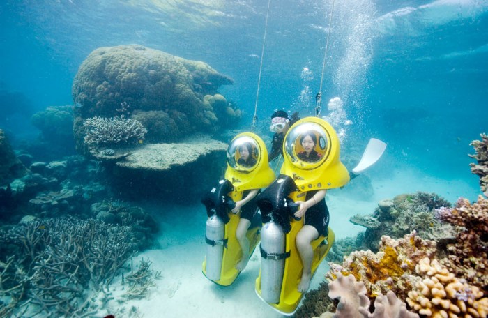 Reef barrier diving scuba nemo cairns